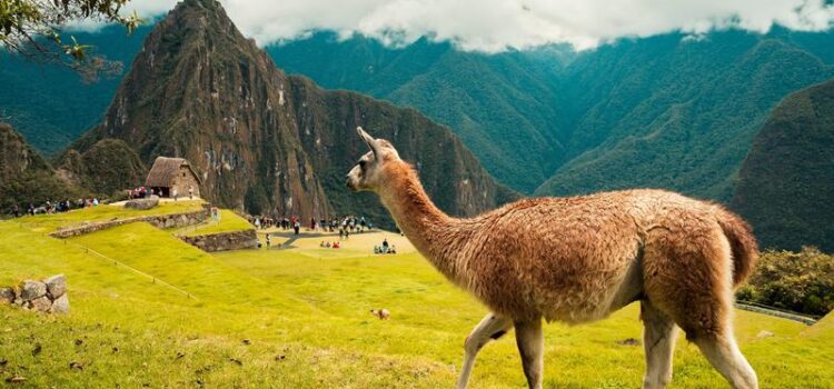 Chachapoyas