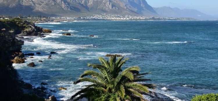 Hermanus