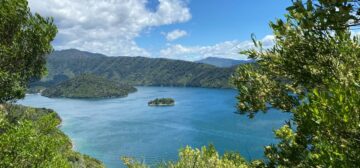 Marlborough Sounds