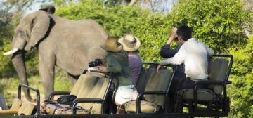 A Zambian Adventure & Tranquil Lake Malawi