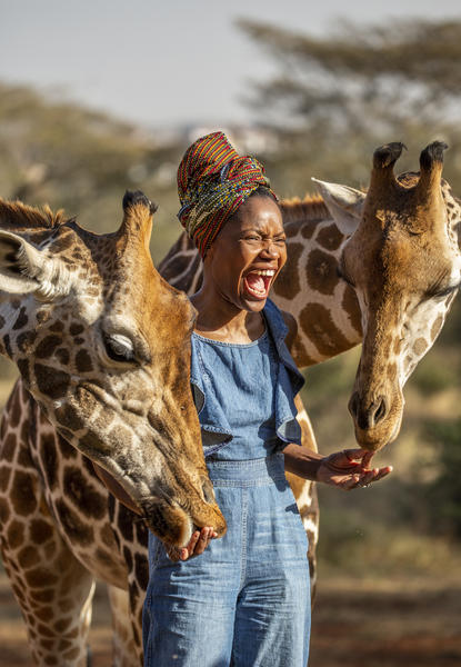 Nairobi Kenya Africa African Giraffe Manor Art Travel Poster Advertisement 