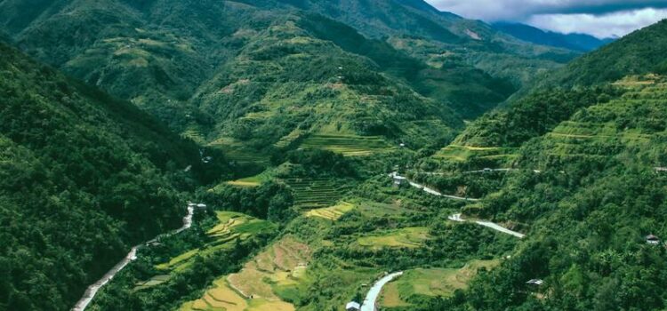 Luzon
