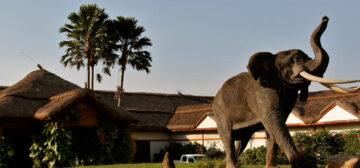 Mweya Safari Lodge