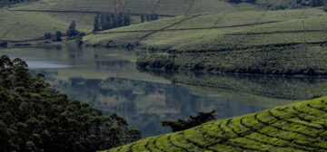 Bvumba Mountains